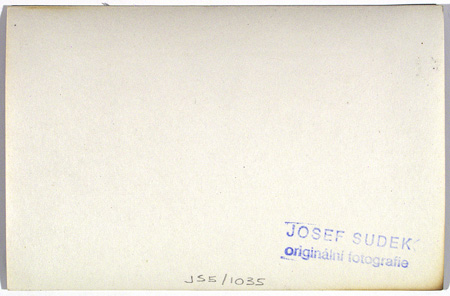 JS5-1035back